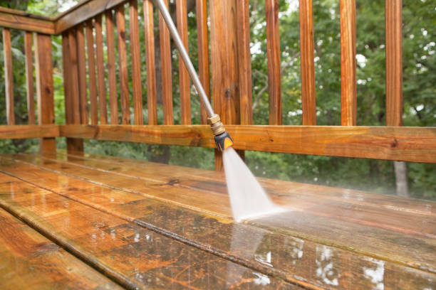 Best Driveway Pressure Washing  in Lyons, GA